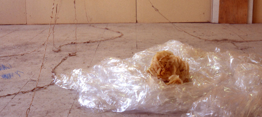 pancakes inside studio